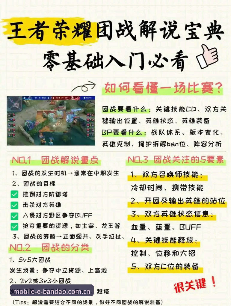 半岛体育用户评价必备 半岛体育用户评价必备指南:新手下载与使用全程详解